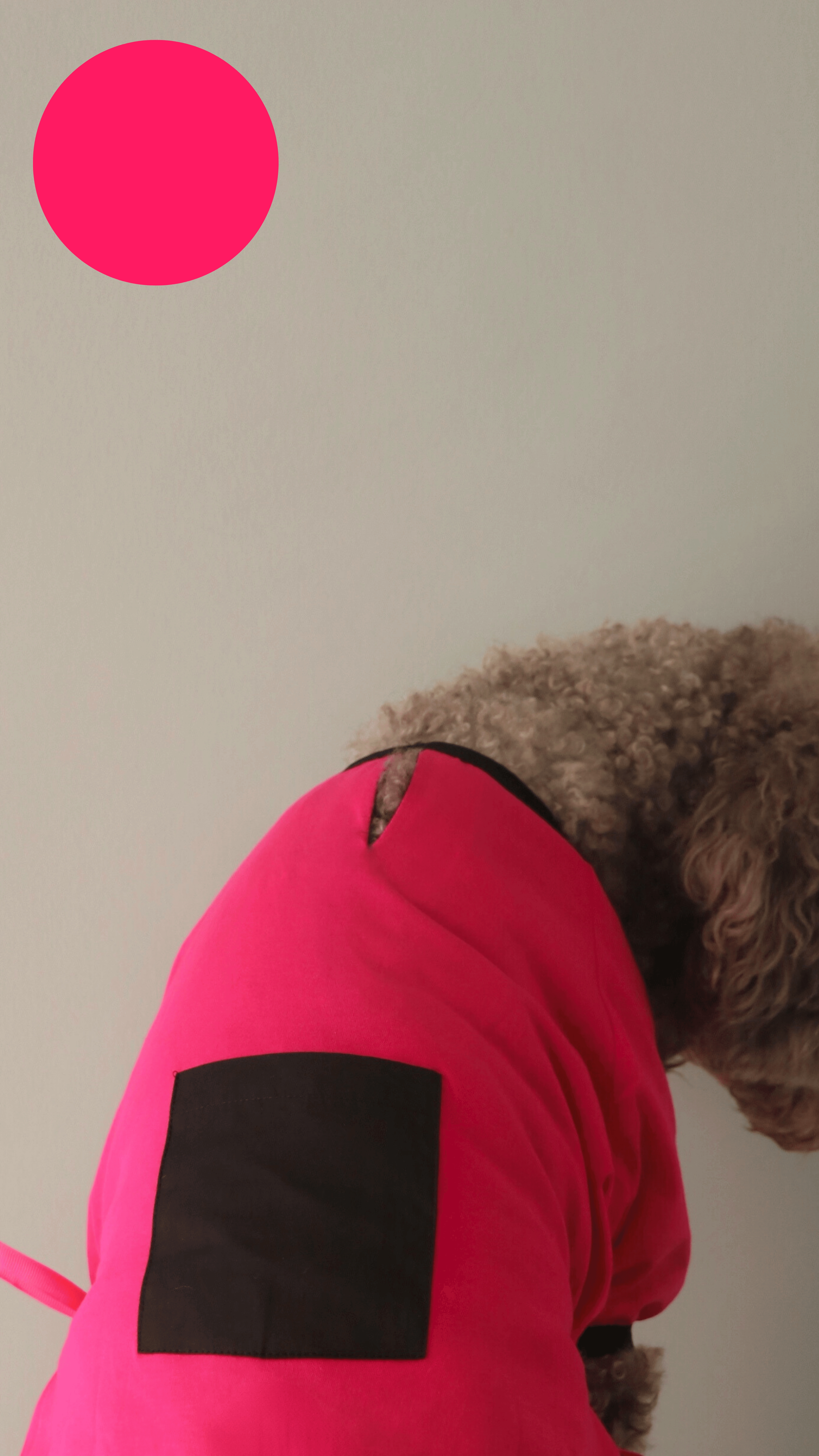 PINKBLACK T-SHIRT